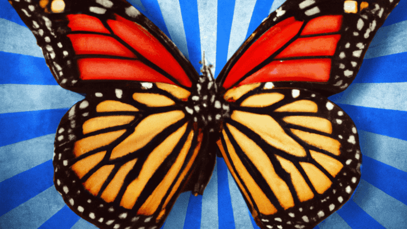 Six superpowers of monarch butterflies